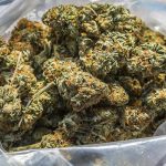 Effortless Access: Enjoy Top-Quality Cannabis Delivered from Tropic Exotic in Calgary